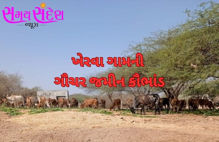 ખેરવા ગામની ગૌચર જમીન કૌભાંડ બાદ પ્રાંત–મામલતદાર કચેરીઓમાં ફફડાટ.