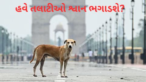 સુપ્રીમ કોર્ટના કડક દિશા–નિર્દેશ પછી રાજ્યમાં મોટો ફેરફાર.