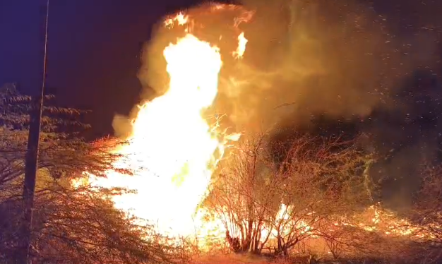 દેવભૂમિ દ્વારકામાં આગની વિકરાળ ઘટના  ખંભાળિયા તાલુકાના કેશોદ ગામે સીમ વિસ્તારમાં ભયાનક આગ, અનેક વૃક્ષો ભસ્મીભૂત