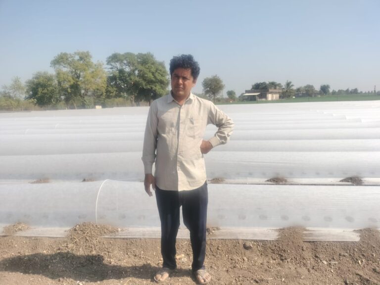 યાર્ડને અલવિદા કહી વાડી ને બનાવ્યો બજાર.