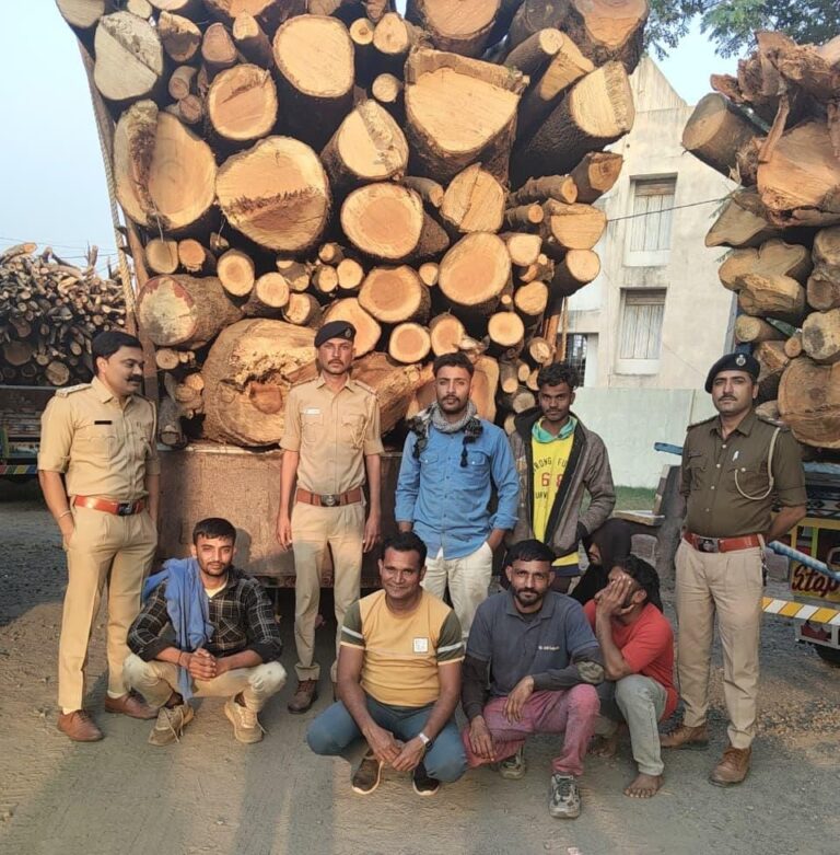 વનસંપત્તિ પર ડાકો પાડનારાઓ માટે ખાખી નહીં, હવે લીલું કાયદાનું વચન.