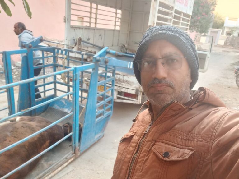 દેવભૂમિ દ્વારકામાં ગૌમાતાના જીવનનું રક્ષણ : સાઝ ઓર અવાજ ગ્રુપના દિપકભા માણેક અને રવિ જેઠવાનું હૃદયસ્પર્શી રેસ્ક્યુ ઓપરેશન