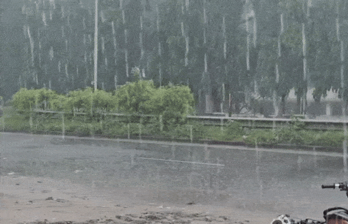 રાજ્ય પર ફરી મંડરાયા કમોસમી વરસાદના વાદળો