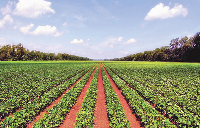 ગુજરાત સરકારનો મહત્વનો નિર્ણય: ૧૯૪૭ના ટુકડા ધારામાં સુધારો – ખેડૂતોને મળશે મોટી રાહત, વારસાઈ અને ભાગલા પ્રક્રિયા સરળ બનશે