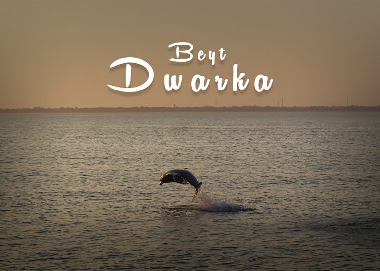 બેટ દ્વારકામાં ગેરકાયદેસર કેમ્પિંગ–રેસ્ટોરન્ટનો ખતરો: ‘ડોલ્ફિન એડવેન્ચર’ના નામે પ્રવાસીઓના જીવ સાથે રમતું બેફામ તંત્ર, ફૂડ સેફ્ટી અને GMBની પરમિશન વગર ખુલ્લેઆમ ધંધો – અધિકારીઓની આંખે કોણે પટ્ટી બાંધી?