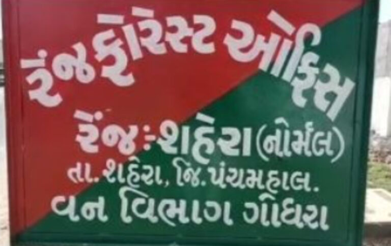 શહેરા વન વિભાગની ત્વરિત કાર્યવાહી: ઢાકલીયા ગામે ગેરકાયદેસર લીલા લાકડાથી ભરેલી ટ્રક ઝડપી.