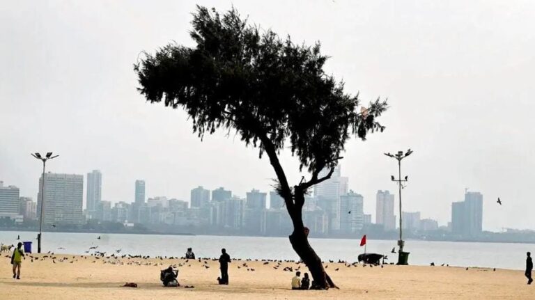 મુંબઈમાં વાયુ પ્રદૂષણ સામે મહાનગરપાલિકાનો મોટો પ્રહાર 150 દિવસ રસ્તા ધોવા માટે 125 પાણીના ટેન્કર હાયર – ધૂળ નિયંત્રણ માટે ગલ્લીગલ્લી સુધી પહોંચશે અભિયાન.