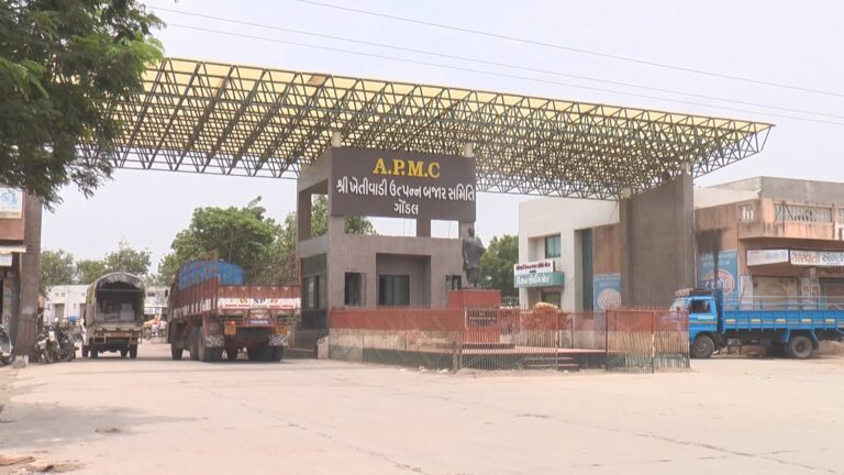 ગોંડલ માર્કેટિંગ યાર્ડમાં કેસર કેરીની આવકના શ્રીગણેશ: મુહૂર્તની હરરાજીમાં કિલો દીઠ ₹૫૦૧નો ભાવ, કેરીપ્રેમીઓમાં ખુશીનો માહોલ.