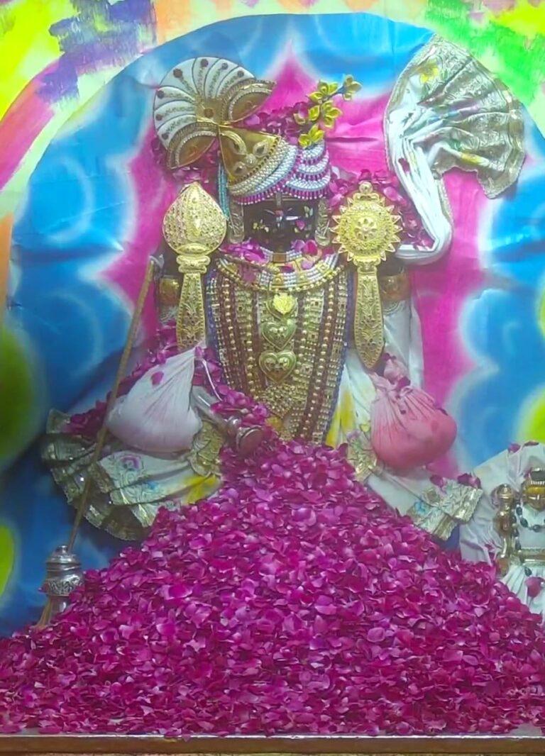 યાત્રાધામ દ્વારકામાં હોળીનો આધ્યાત્મિક રંગ—પદયાત્રીઓની ભક્તિ, ‘જય દ્વારકાધીશ’ના નાદથી ગુંજ્યું મંદિર પરિસર