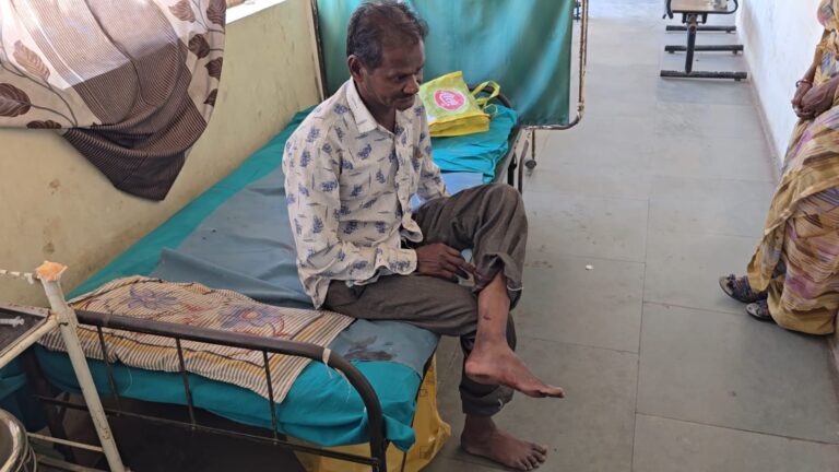 શહેરામાં શ્વાનનો આતંક: તંત્ર ક્યાં સુધી મૂકપ્રેક્ષક બની રહેશે?