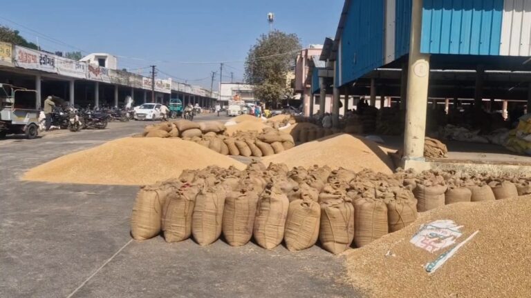 માવઠાની આગાહીએ ખેડૂતોમાં ચિંતા વધારી: જેતપુર વિસ્તારમાં તૈયાર પાક પર વરસાદનો ખતરો, માર્કેટિંગ યાર્ડે ત્રણ દિવસ આવક બંધ કરતા ખેડૂતો મુશ્કેલીમાં.