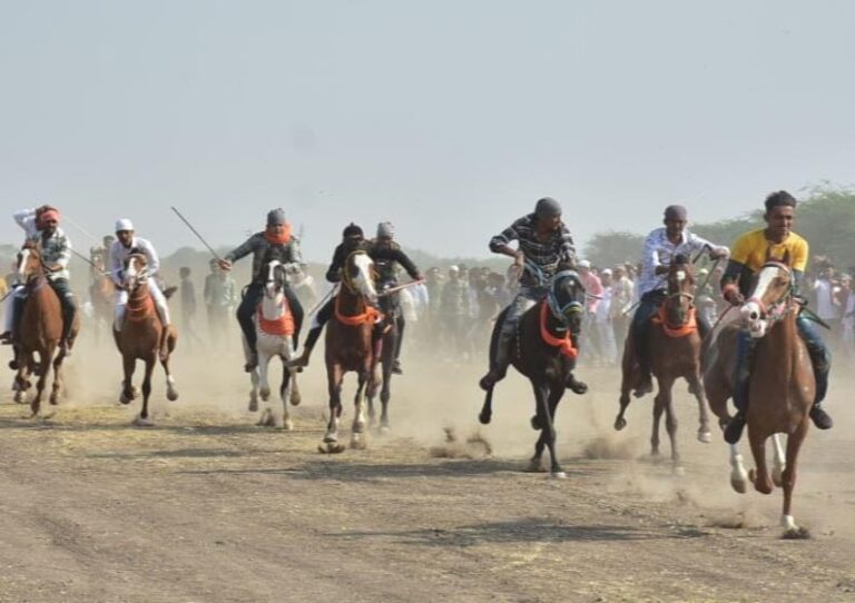 મસીતીયામાં કોમી એકતાનો અનોખો મહોત્સવ — “હઝરત પીર કમરૂદ્દીનશાહ બાબા” ના ઉર્ષે ઝળહળ્યું પરંપરાગત ઘોડા રેસનું રોમાંચ, ‘જલાલી ૧૬૧૬’ બન્યો વિજેતા