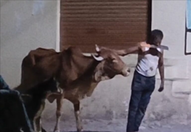 ગીર સોમનાથ જિલ્લાના જામવાળા ગામમાં રાત્રે ધારદાર હથિયાર સાથે ઇસમનો આતંક – દારૂના નશામાં મુંગા જીવને ખેંચતો હોવાનો વિડિયો વાયરલ થતાં ગ્રામજનોમાં રોષ.