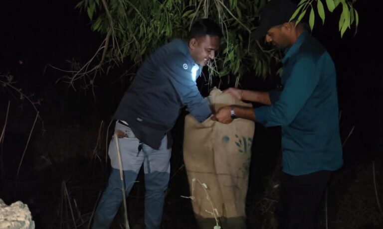 “મધરાતનો ખૌફ” : ભાણવડના ભરતપુરમાં શોકમગ્ન પરિવાર વચ્ચે અજગર દેખાતા દોડધામ, અશોકભાઈ ભટ્ટની ટીમે કર્યું દિલધડક રેસ્ક્યુ.