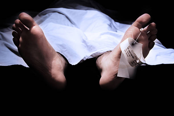 જામનગરમાં ભાડાના મકાનમાં યુવાનનો ગળેફાંસો: 22 વર્ષીય યુવકના અગમ્ય આપઘાતથી પરિવારમાં શોકની લાગણી.