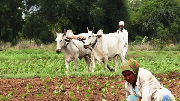 “કેન્દ્રીય કેબિનેટના મોટા નિર્ણયો: ખેડૂતોને ખાતર સબસિડીથી રાહત, HPCL રિફાઈનરી અને જયપુર મેટ્રો ફેઝ-2ને લીલીઝંડી”