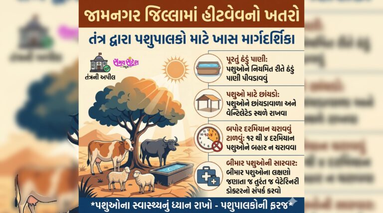 જામનગર જિલ્લામાં હીટ વેવનો ખતરો: પશુપાલકો માટે તંત્રની ખાસ માર્ગદર્શિકા, પશુઓના આરોગ્ય માટે જરૂરી સાવચેતીઓ જાહેર.