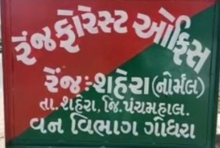 શહેરા વન વિભાગની મોટી કાર્યવાહી: પાસ-પરમિટ વગર લાકડાની હેરાફેરી કરતા બે ટ્રક ઝડપાયા, ₹10.20 લાખનો મુદ્દામાલ જપ્ત.