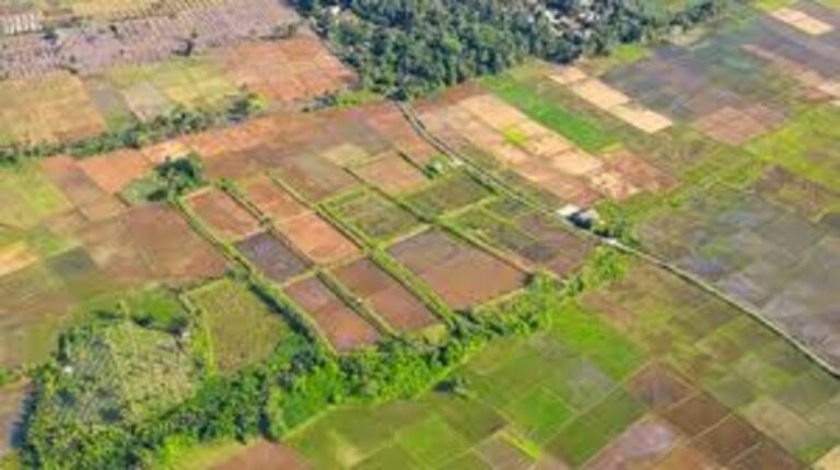 દ્વારકા કુરંગામાં જમીન કબજા કાંડ: કરોડોની RSPL જમીન પર દબાણ મામલે પોલીસ કાર્યવાહી તેજ, આરોપી સામે કડક કાર્યવાહી શરૂ.