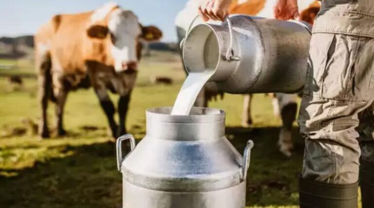 બનાસકાંઠાના દાંતા તાલુકામાં ચૂંટણી બાદ દૂધ પર રાજકારણનો આરોપ: પાતળીયા દૂધ મંડળી સામે પશુપાલકોનો બળવો, “મત ન આપ્યો એટલે દૂધ ન લીધું”ના આક્ષેપથી ઉગ્ર વિવાદ