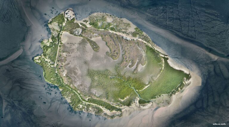 રાષ્ટ્રીય સુરક્ષાને પ્રાથમિકતા: જામનગર જિલ્લાના ૧૨ દરિયાઈ ટાપુઓ પર પ્રવેશ પ્રતિબંધ જાહેર.